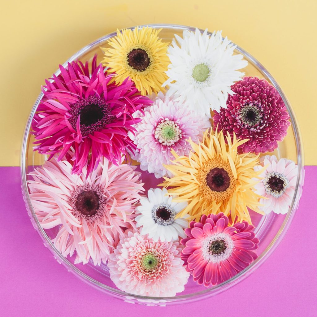 fotograaf voor bloemisten, kwekers en ondernemers